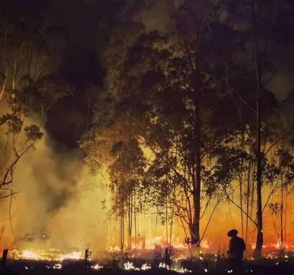 Incendios en Corrientes destruyen campos, bosques  y complican los accesos a los Esteros del Iberá