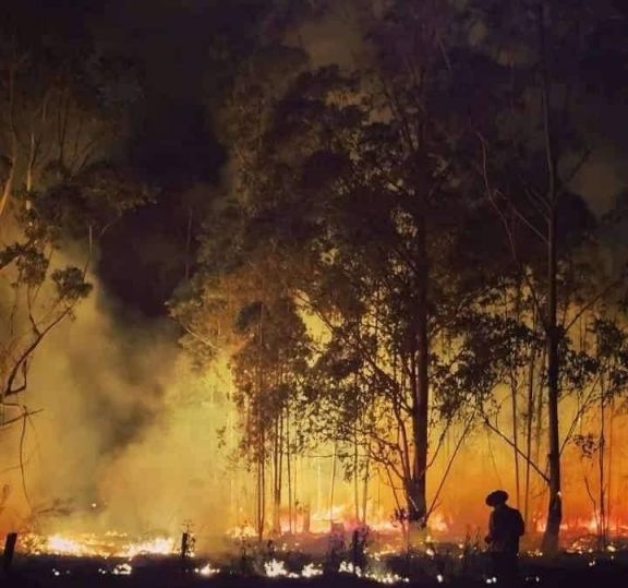 Incendios en Corrientes destruyen campos, bosques  y complican los accesos a los Esteros del Iberá