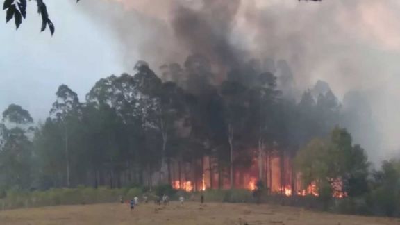 Incendio pone en alerta a colonia en el valle del Cuñá Pirú 