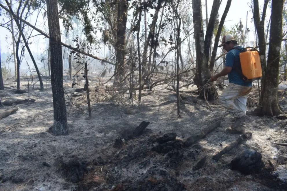 Unas 260 hectáreas se perdieron por el fuego en Jardín América y alrededores