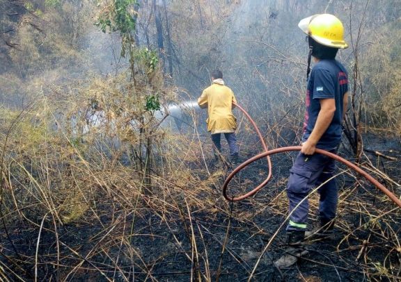 Incendio forestal en Colonia Carril, el fuego ya arrasó con alrededor de 850 hectáreas