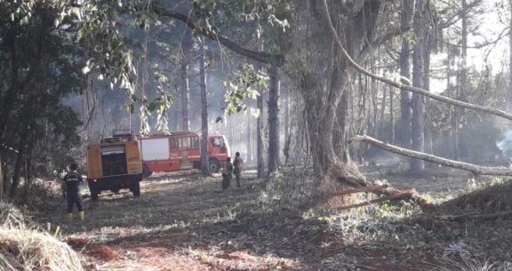 Continúan los trabajos para sofocar las llamas que destruyen numerosas hectáreas