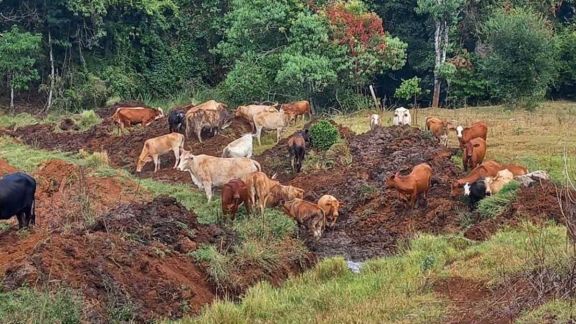 El sector rural de Irigoyen sufre el impacto de la falta de lluvias