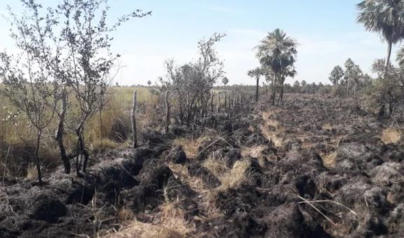 El fuego ya consumió unas ocho mil hectáreas de campo en Corrientes 