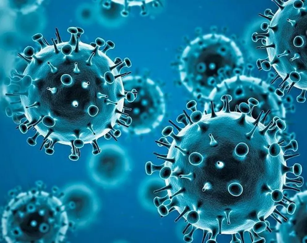 COVID-19: por primera vez la OMS menciona que la pandemia puede convertirse en endemia
