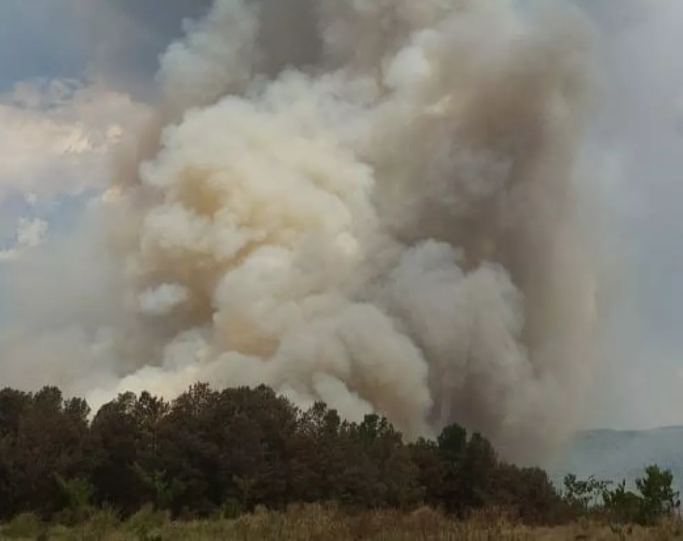 Se quemaron 17 mil hectáreas entre Garuhapé y Aristóbulo del Valle
