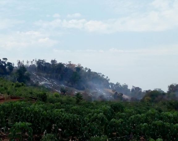 San Pedro: tras tres días de lucha el fuego está controlado y son cuantiosas las pérdidas productivas en San Lorenzo 