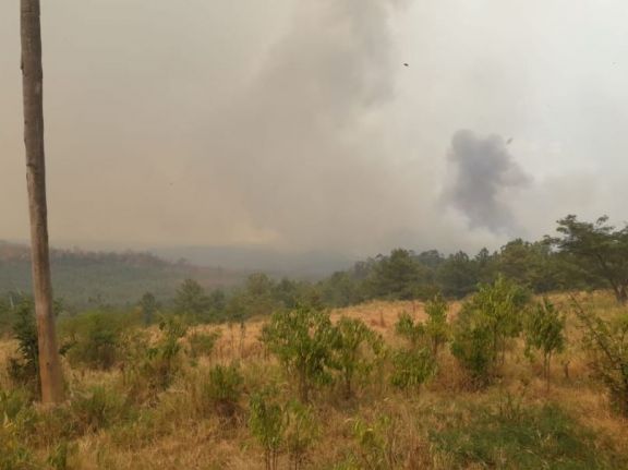 Incendio de grandes magnitudes afecta a la reserva Cuñá Pirú