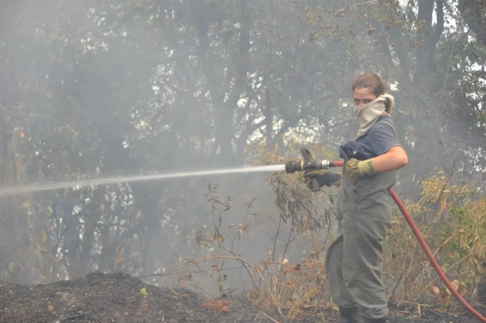 Situación desesperante en Salto Encantado: se quemaron miles de hectáreas
