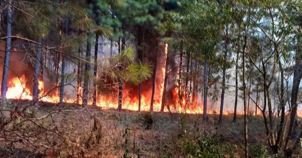 Llegó la lluvia a Salto Encantado y empezó a aplacar el fuego