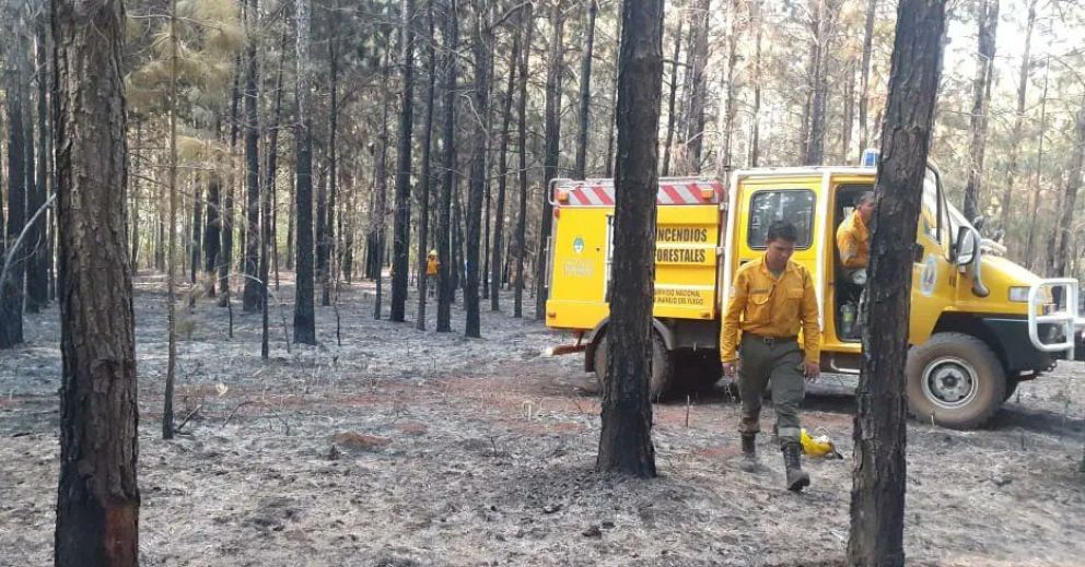 Llegó la lluvia a Salto Encantado y empezó a aplacar el fuego