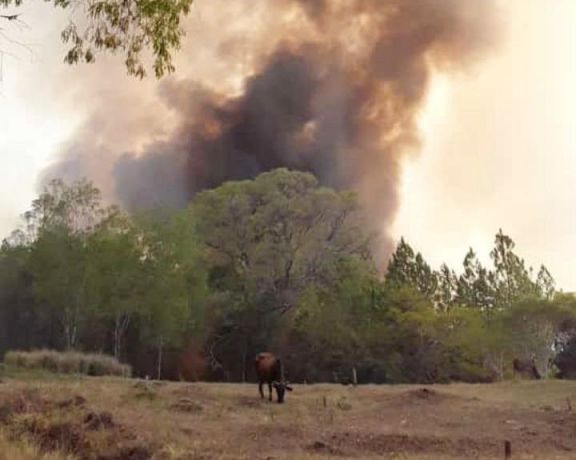 Preocupación por el avance del fuego en San Javier, ya se quemaron más de 200 hectáreas  