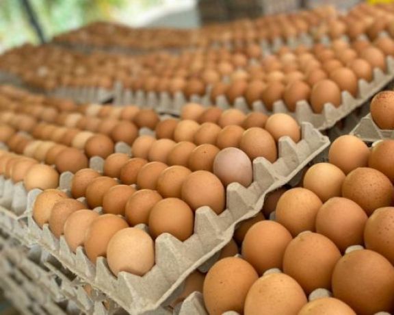 Comerciantes advierten escasez y aumentos de huevos y verduras frescas 