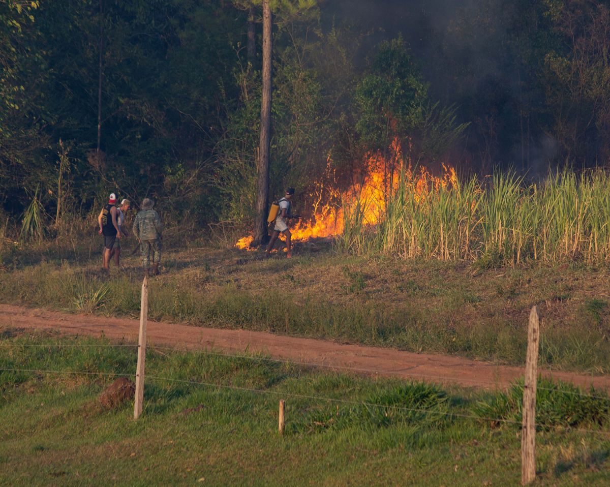 Cinco grandes focos de incendios consumen bosque nativo en Misiones