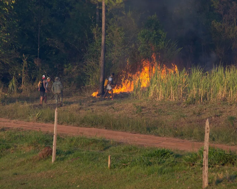 Cinco grandes focos de incendios consumen bosque nativo en Misiones Cinco grandes focos de incendios consumen bosque nativo en Misiones