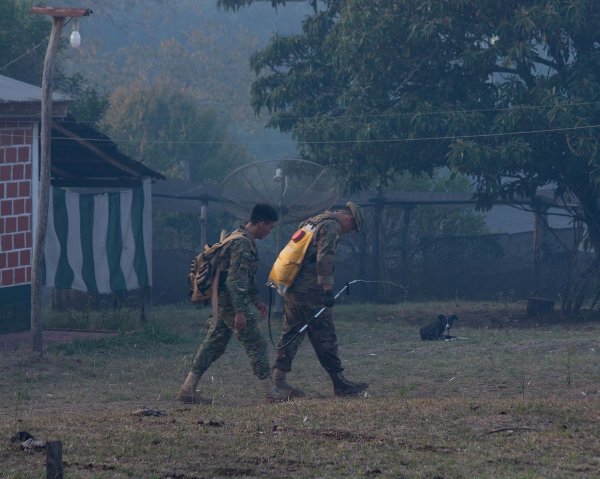 Cinco grandes focos de incendios consumen bosque nativo en Misiones