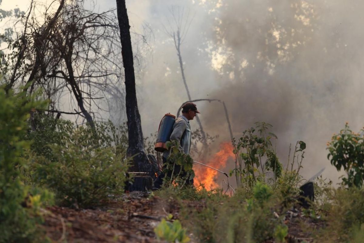 El fuego esta descontrolado en San Javier y avanza en la zona productiva