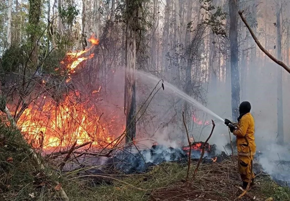 El riesgo de incendios es crítico en la provincia