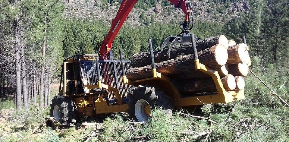 Image: https://elterritorio1.cdn.net.ar/252/elterritorio1/images/01/67/59/1675904_bd645d4a4388d39db0a6544baa8068e512616f69e1fed7eabfd7b87bf2bdccb0/md.jpg