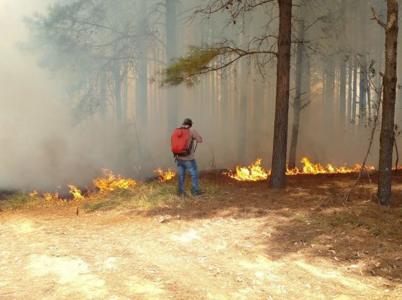 Los incendios consumieron más de un millón de hectáreas en Corrientes
