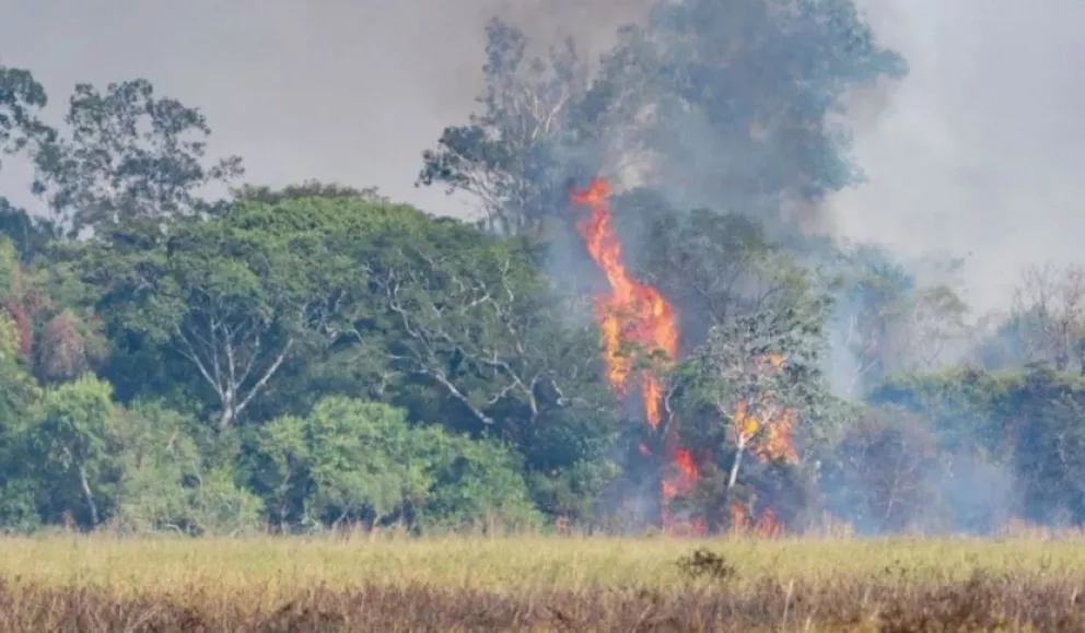 Las llamas arrasaron con el 40% del Parque Nacional Iberá