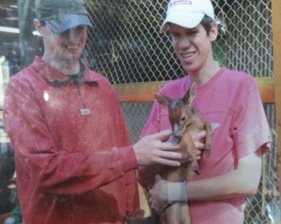 Montecarlo: perro atacó a seis ejemplares de venado en el Zoobalpark 