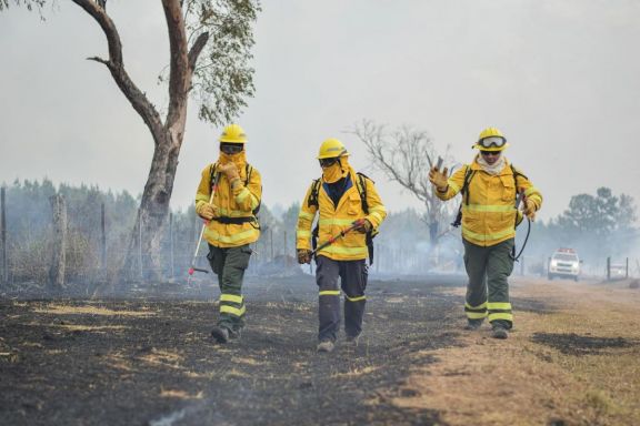 Incendios en Corrientes: "Esta catástrofe nos ha encontrado totalmente desarmados"