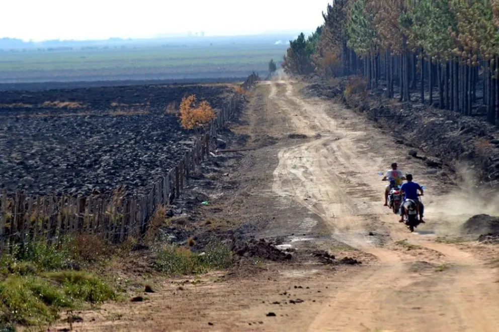 El fuego arrasó con el 13% del Iberá y hay 50 focos activos en Corrientes