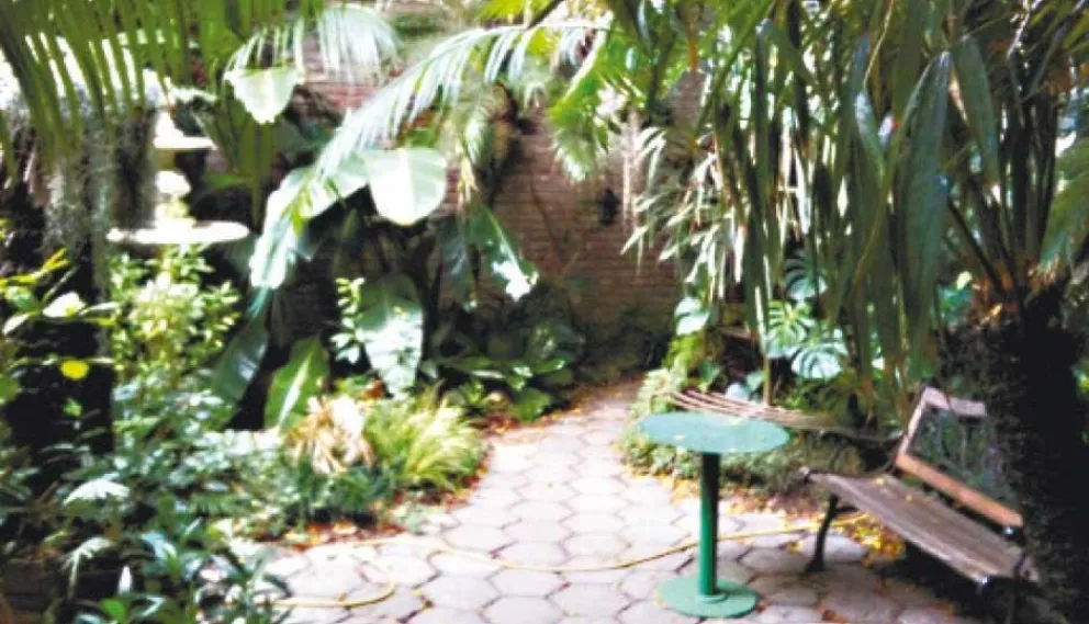 Pedacito de selva en Buenos Aires