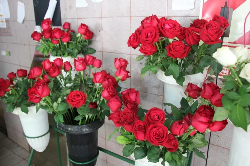 San Valentin: En Posadas un ramo de rosas cuesta 500 pesos | EL TERRITORIO  noticias de Misiones