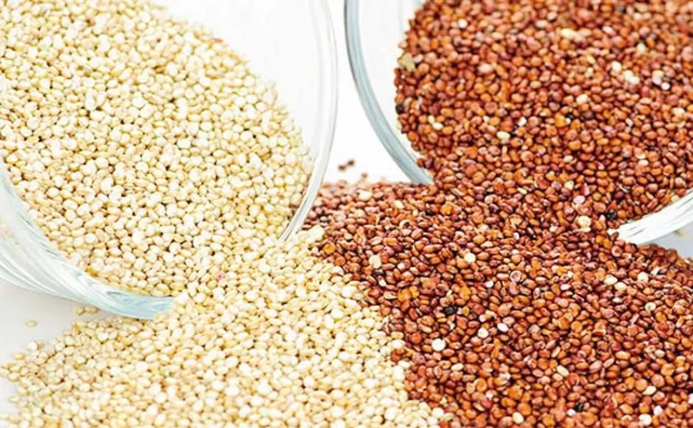 Incorporan el grano de quinua al código alimentario argentino