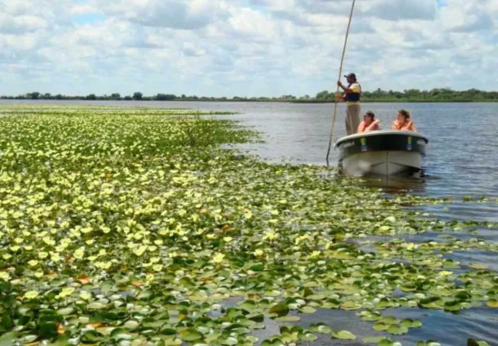 Los Esteros del Iberá como uno de los mejores destinos para viajar
