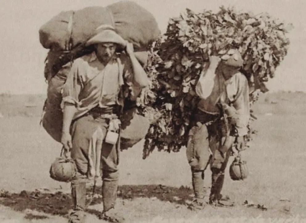 El mensú según un informe oficial de 1914