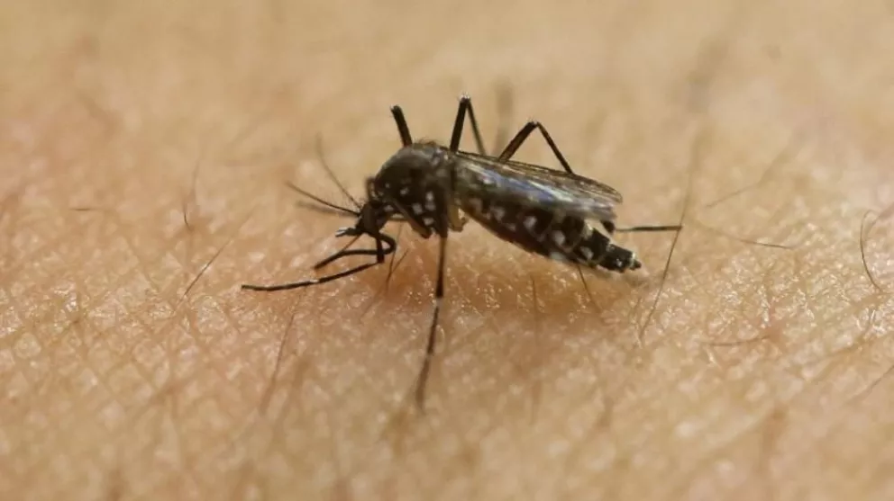 Salud admite que crece la preocupación por el zika 