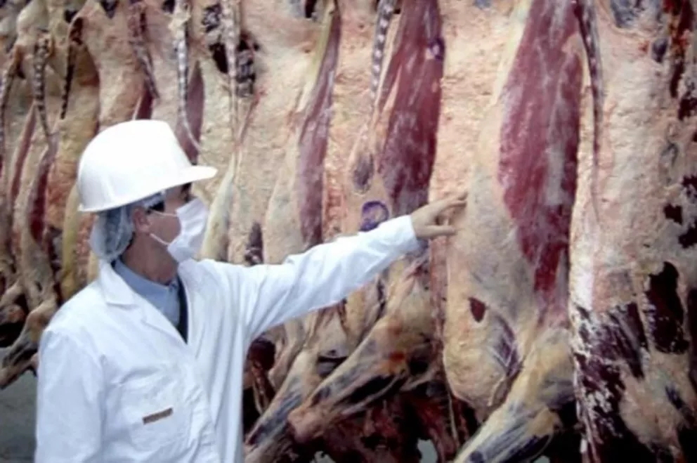 Advierten una caída en el consumo de la carne por los altos precios