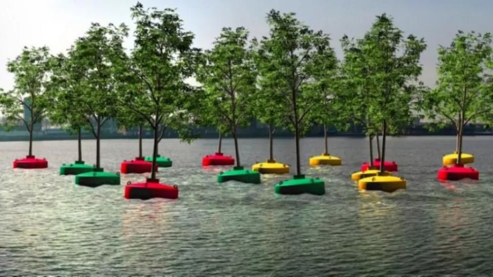 En Holanda plantaron un bosque flotante para generar conciencia 