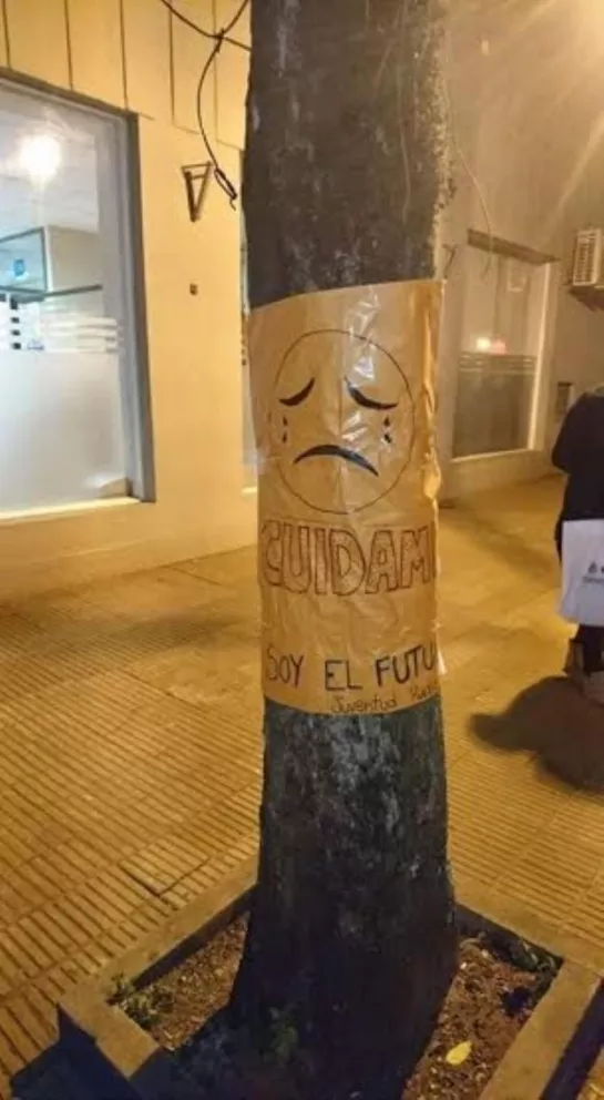 Santo Tomé: con carteles y banditas, protestaron por la poda de árboles 