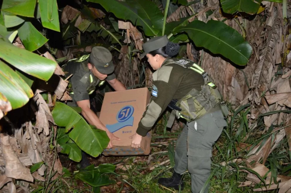 Incautan 166 cajas de cigarrillos ilegales en un bananal de Iguazú