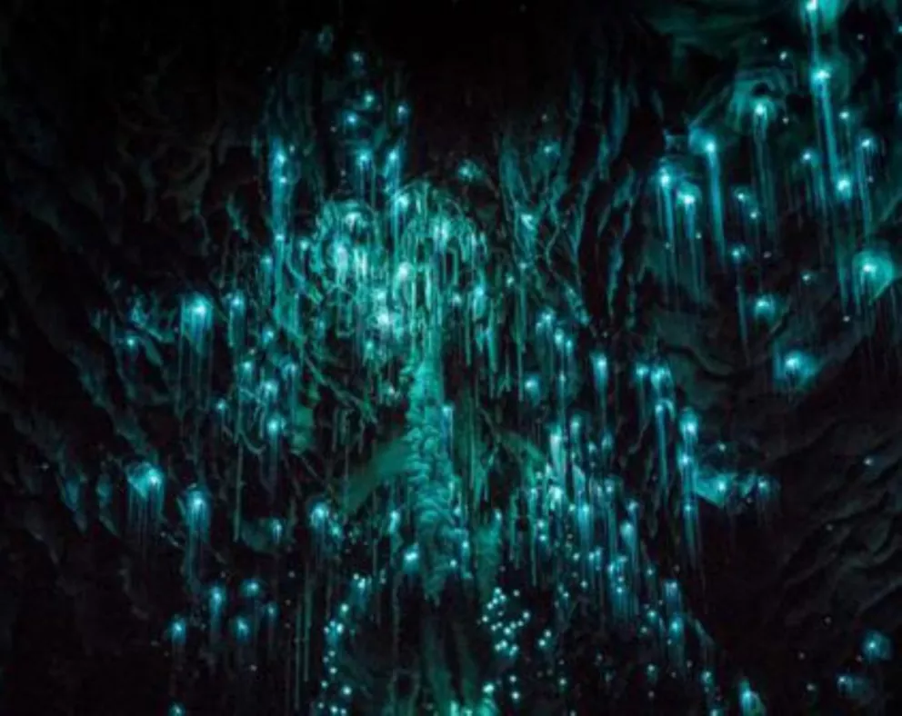 Las cuevas de Waitomo: un laberinto fluorescente bajo la tierra