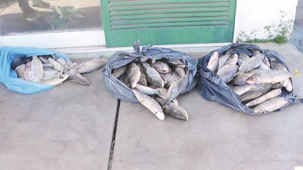 Decomisan 120 kilos de pescado en Ituzaingó