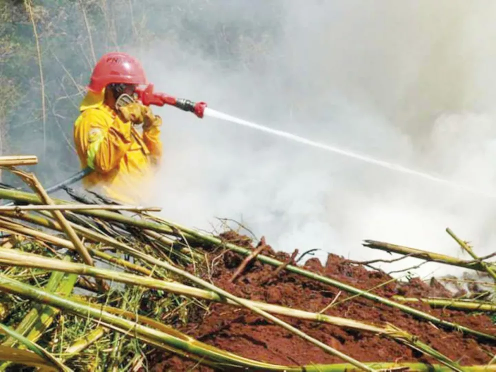 Misiones en alerta por alto riesgo de incendios forestales 