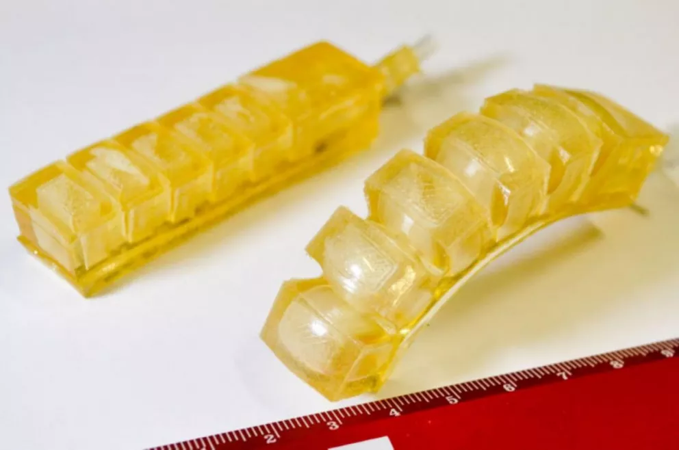 Crearon robots de goma comestibles para explorar los intestinos 