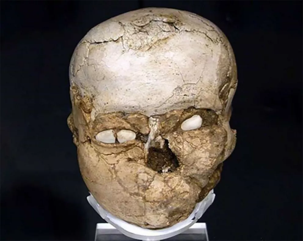 Científicos recrearon el rostro de un hombre de hace 9500 años 
