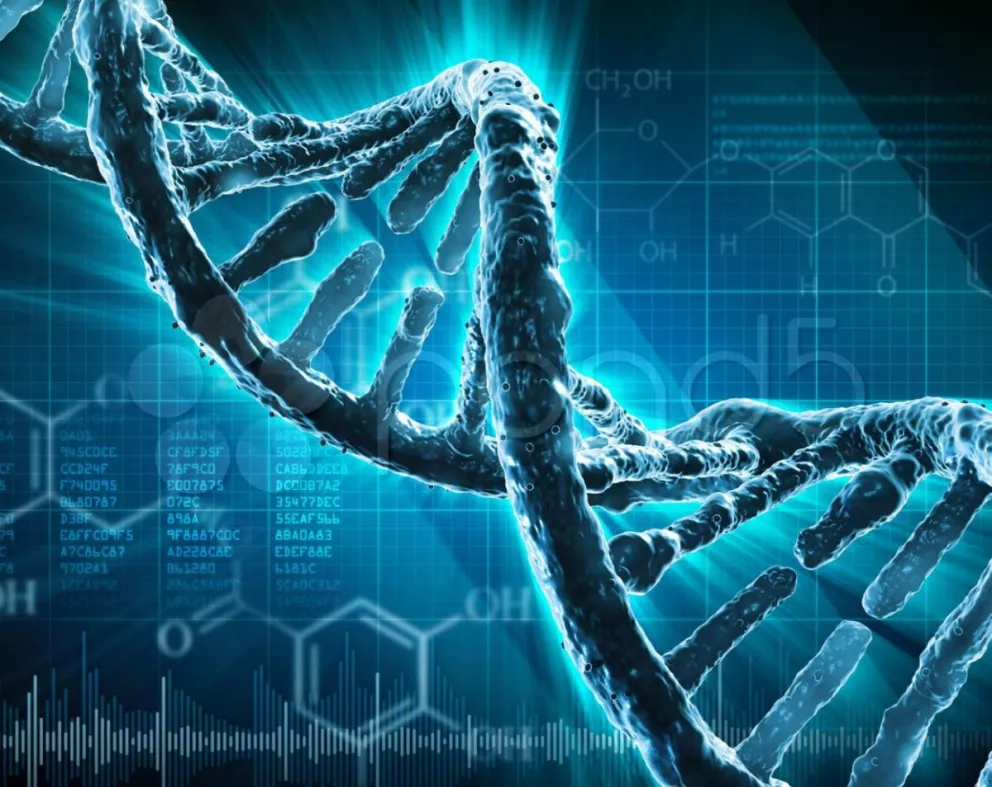 "El ADN no es lo más importante sino que depende de todo un contexto"