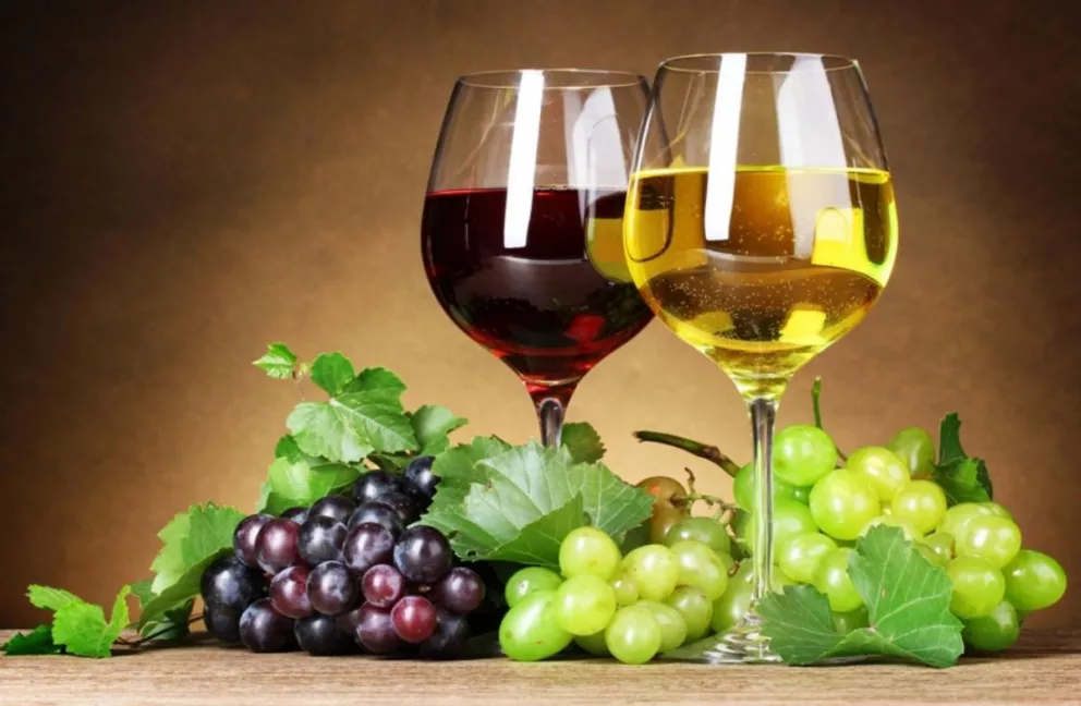 El poder antioxidante de los vinos