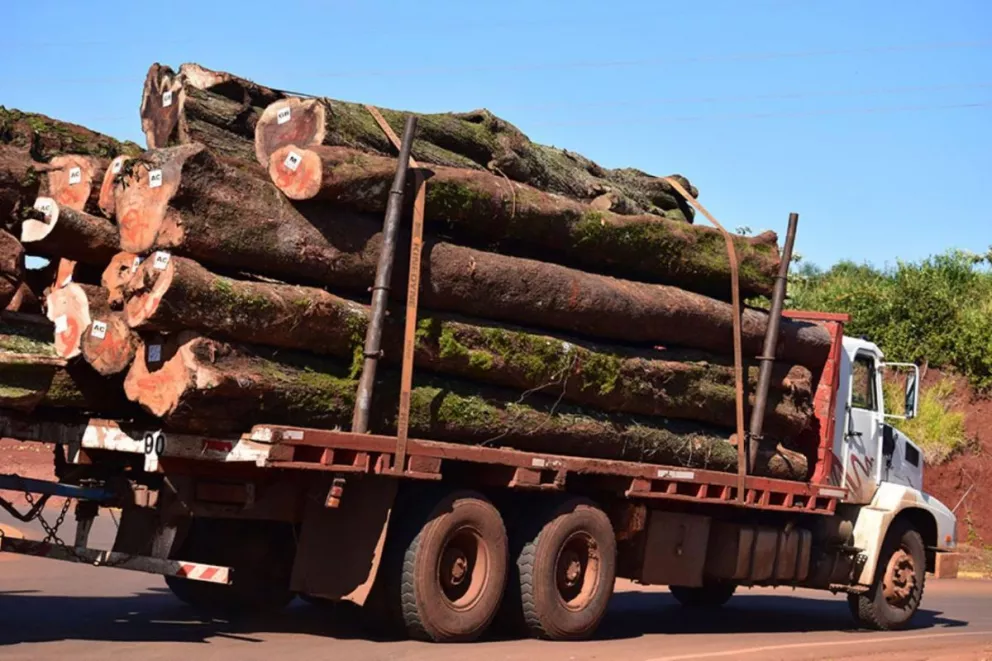 Analizan cobrar tasa a camiones con madera nativa en El Soberbio