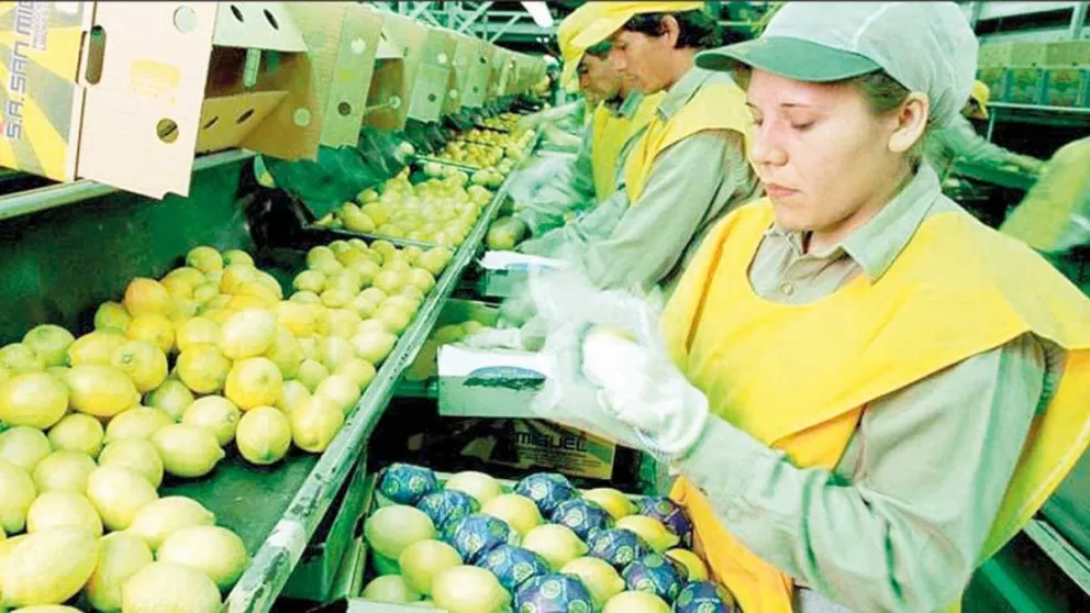 EE.UU. extendió prohibición de entrada de limones argentinos