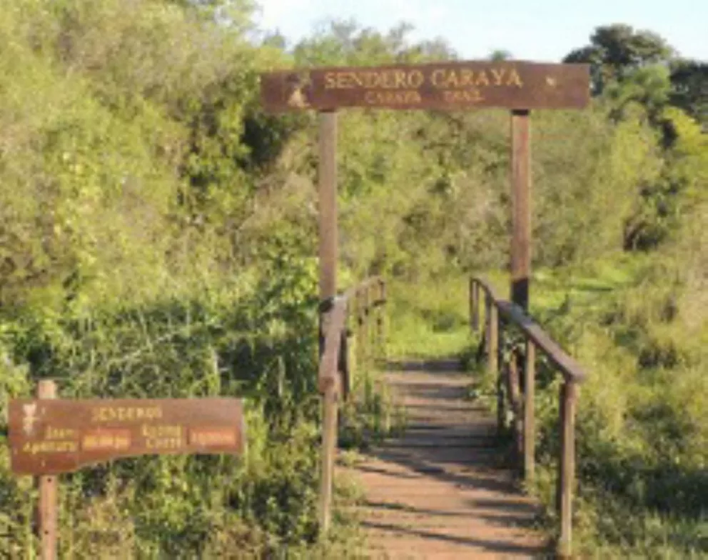 El Sendero Carayá, una opción para el senderismo y el avistaje de monos de Colonia Pellegrini