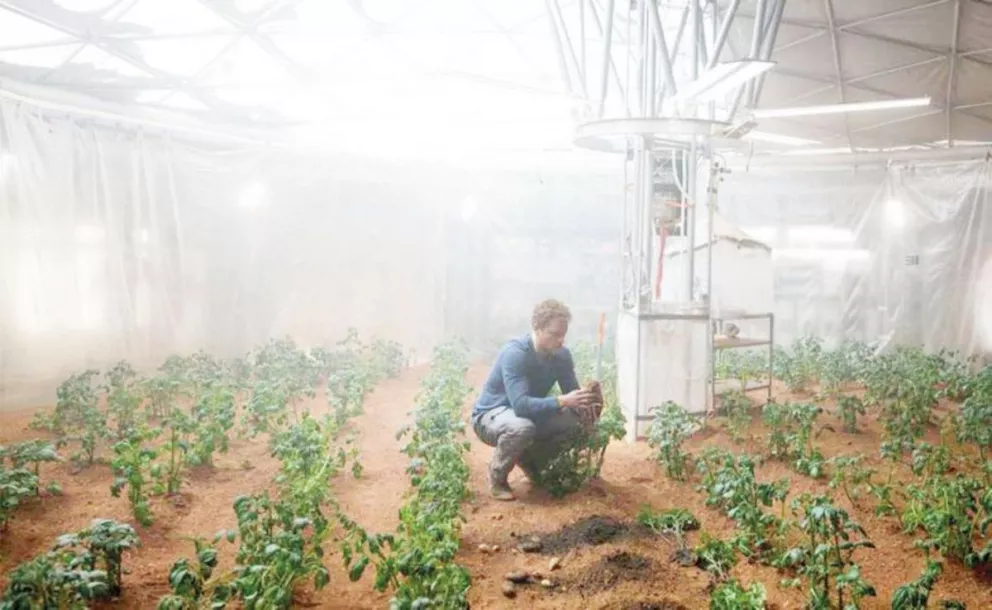 Experimentan en Perú para sembrar papas en Marte