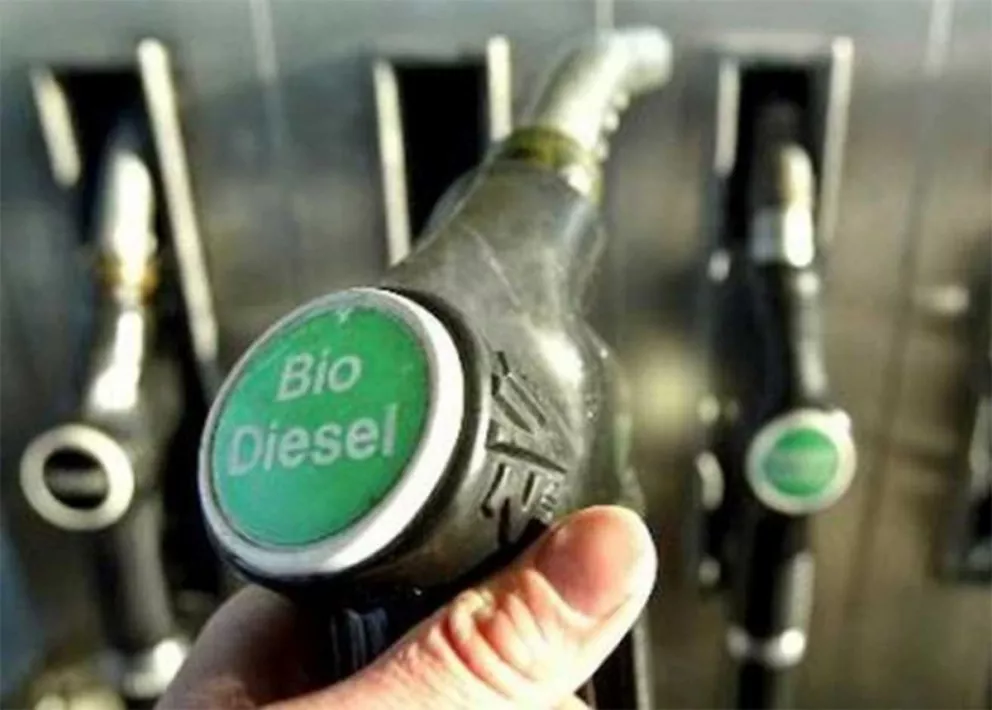La producción de biodiesel creció un 46,9% en 2016